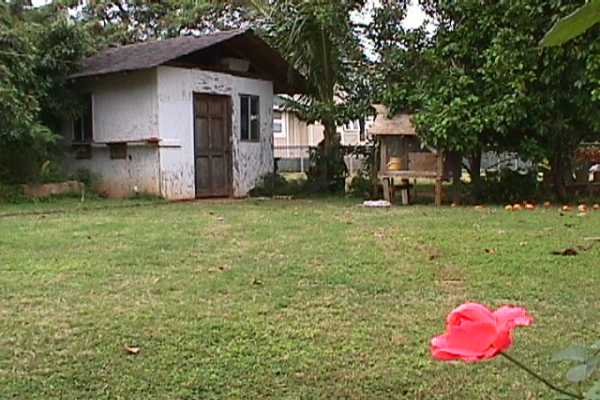 277 Hookipa Road Kapaa, HI 96746 - Photo 10 of 12 a view of a house with a yard