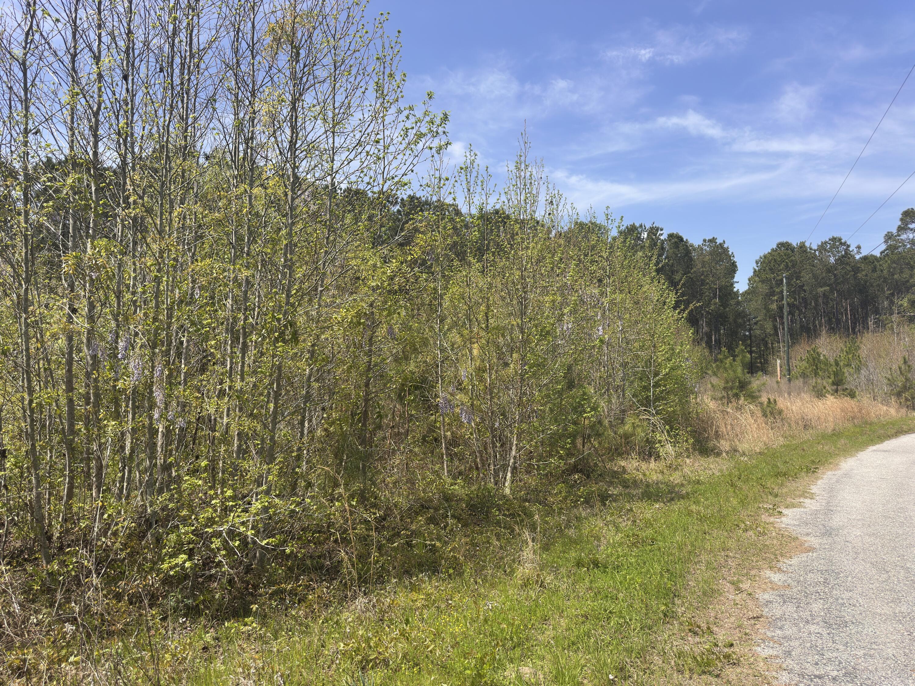 5 Smith Lane Bowman, SC 29018 - Photo 11 of 25 IMG_9174