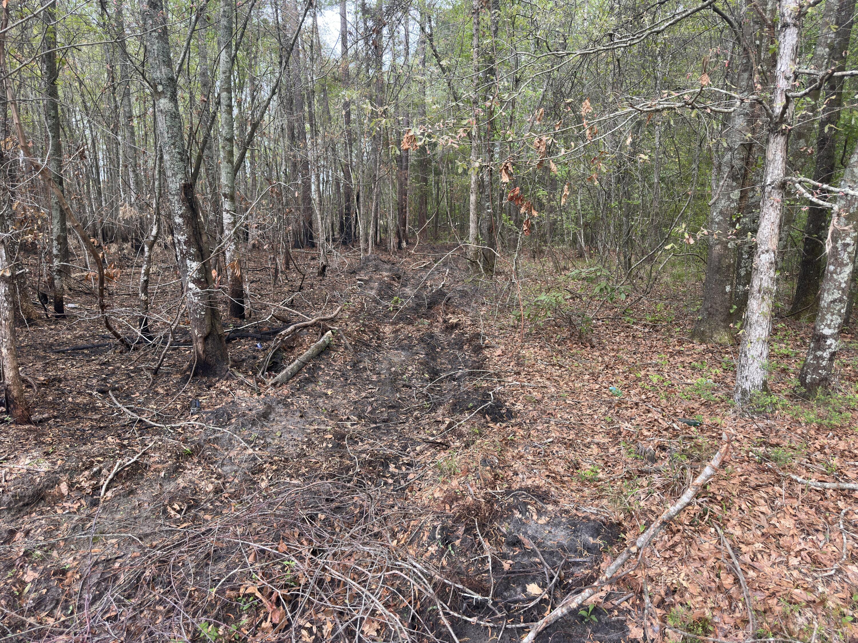 5 Smith Lane Bowman, SC 29018 - Photo 12 of 25 IMG_9331