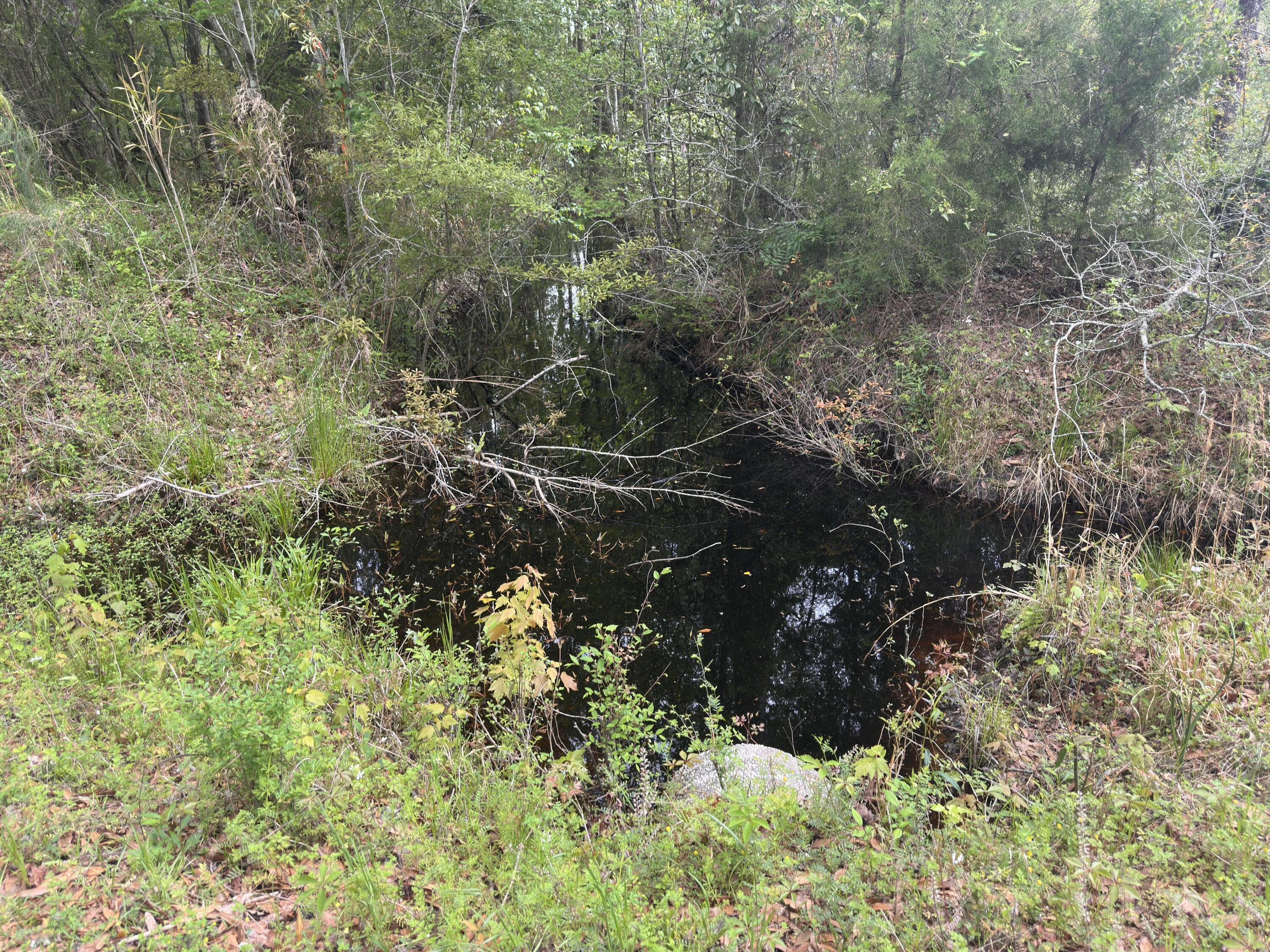 5 Smith Lane Bowman, SC 29018 - Photo 13 of 25 IMG_9323 (1)