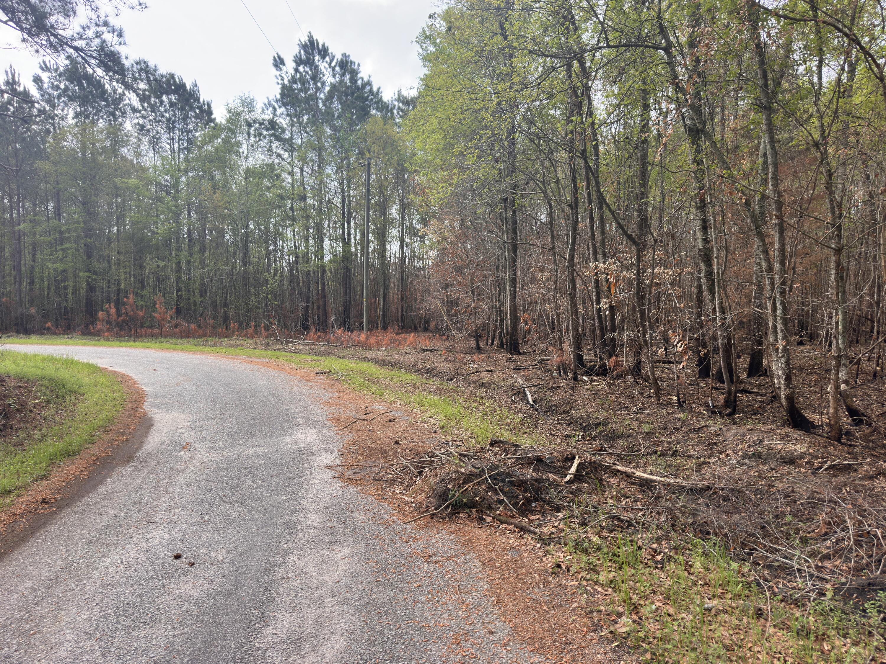 5 Smith Lane Bowman, SC 29018 - Photo 15 of 25 IMG_9329 (1)
