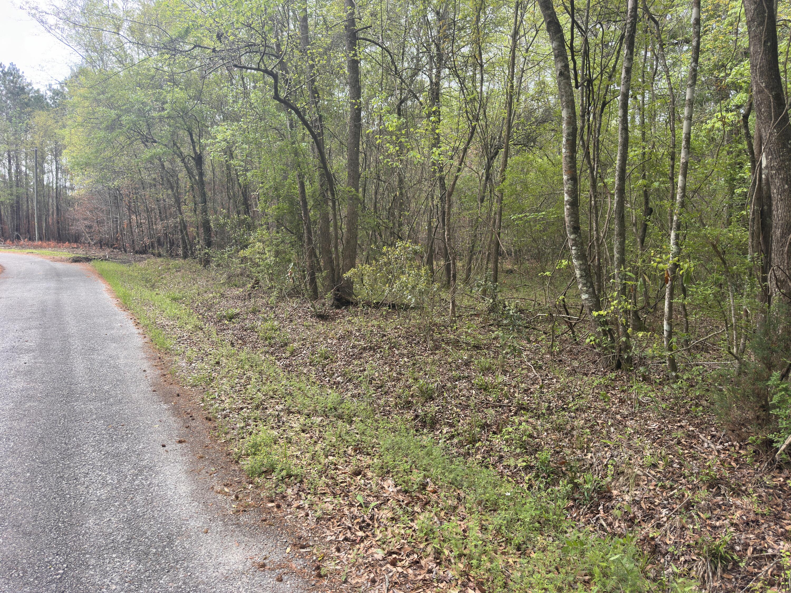 5 Smith Lane Bowman, SC 29018 - Photo 16 of 25 IMG_9327