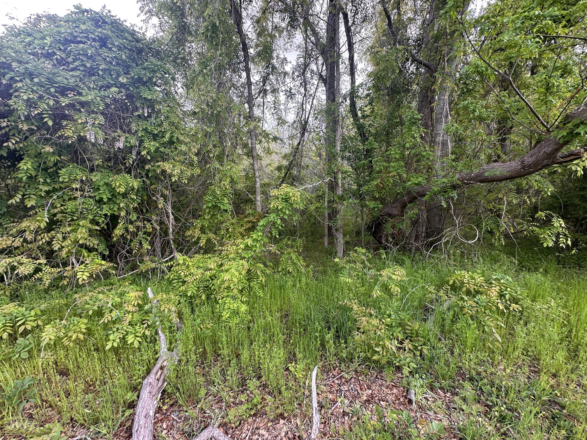 5 Smith Lane Bowman, SC 29018 - Photo 19 of 25 IMG_9345