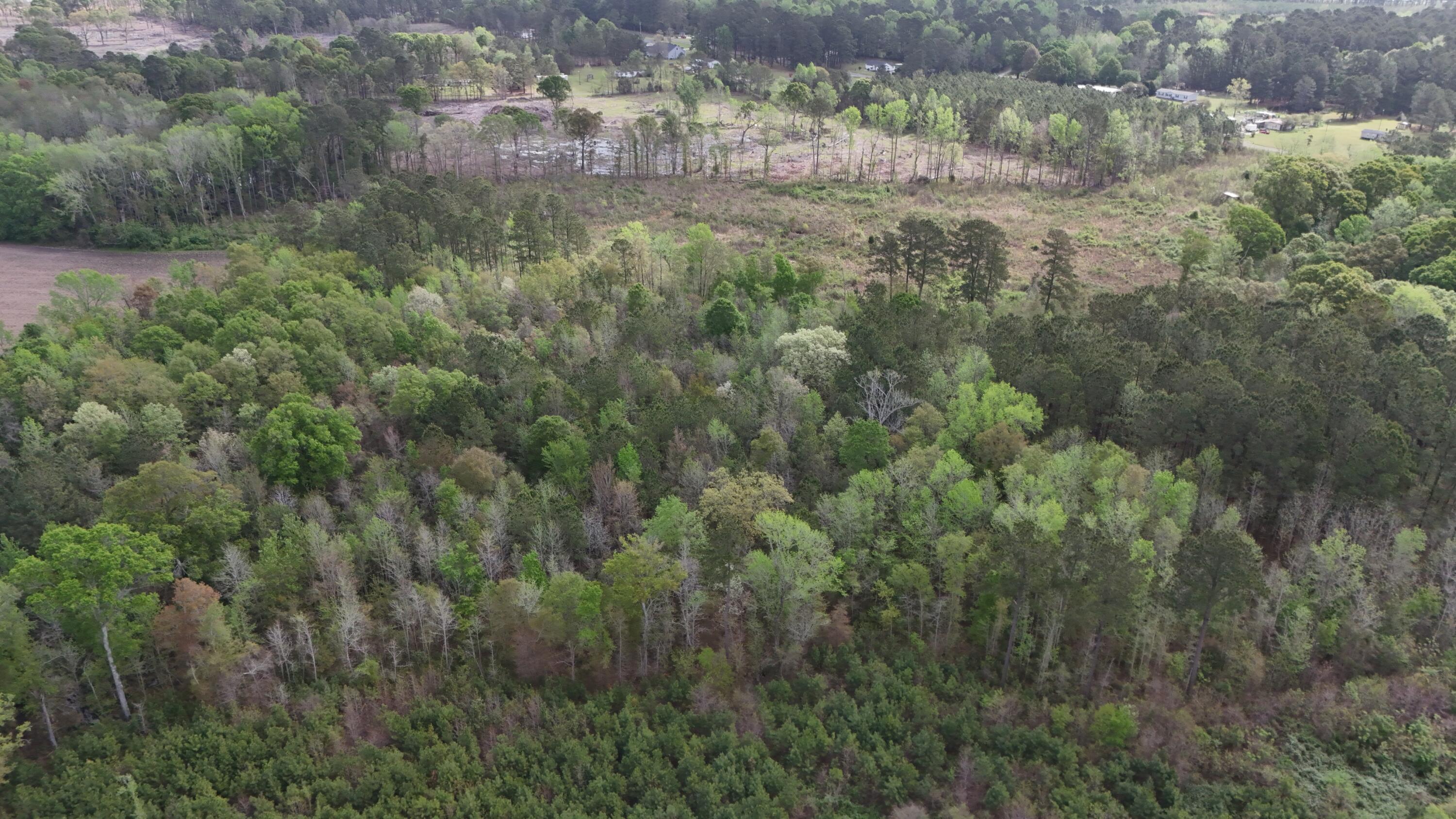 5 Smith Lane Bowman, SC 29018 - Photo 22 of 25 DJI_20250403110638_0024_D