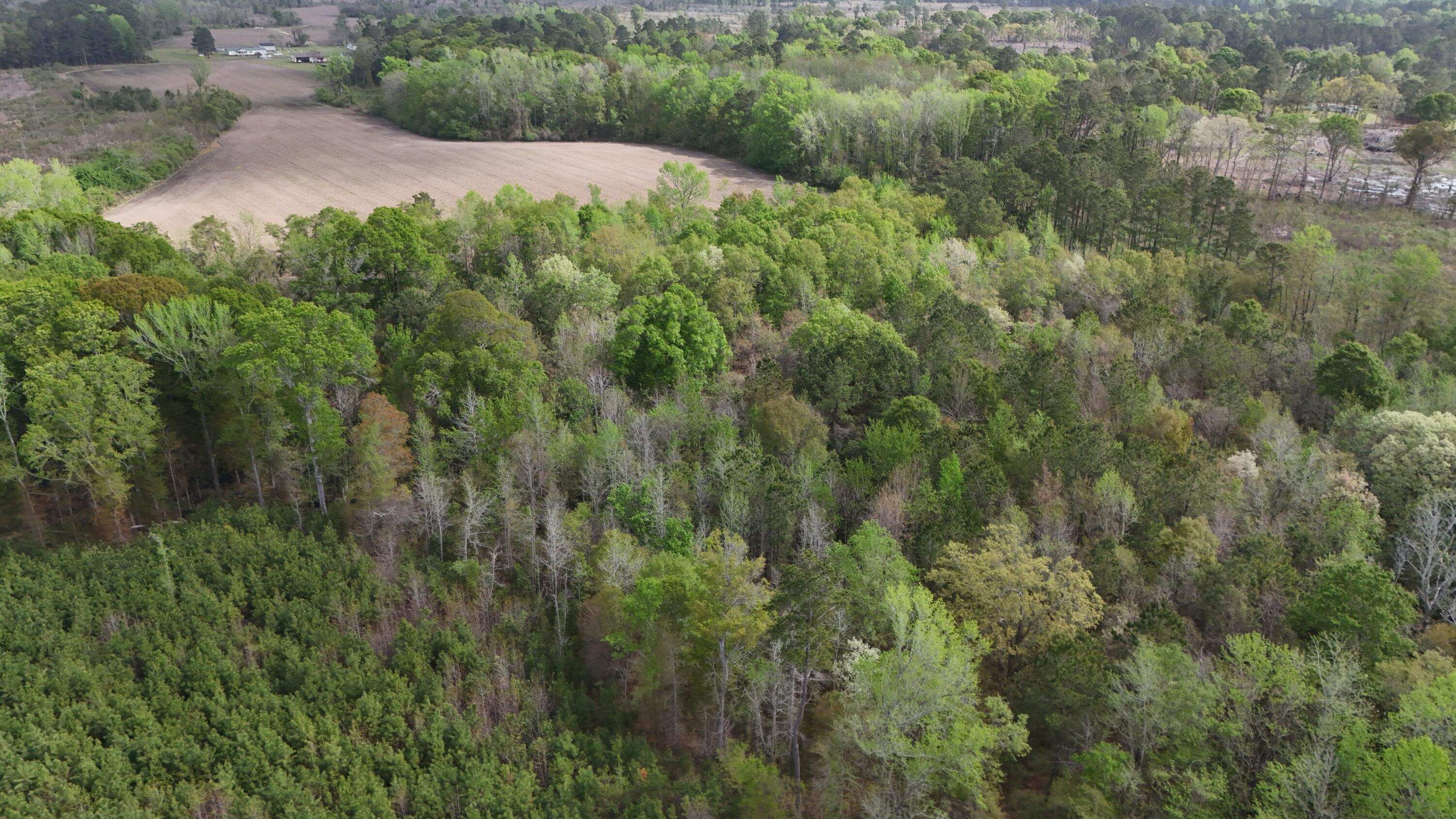 5 Smith Lane Bowman, SC 29018 - Photo 23 of 25 DJI_20250403110324_0013_D