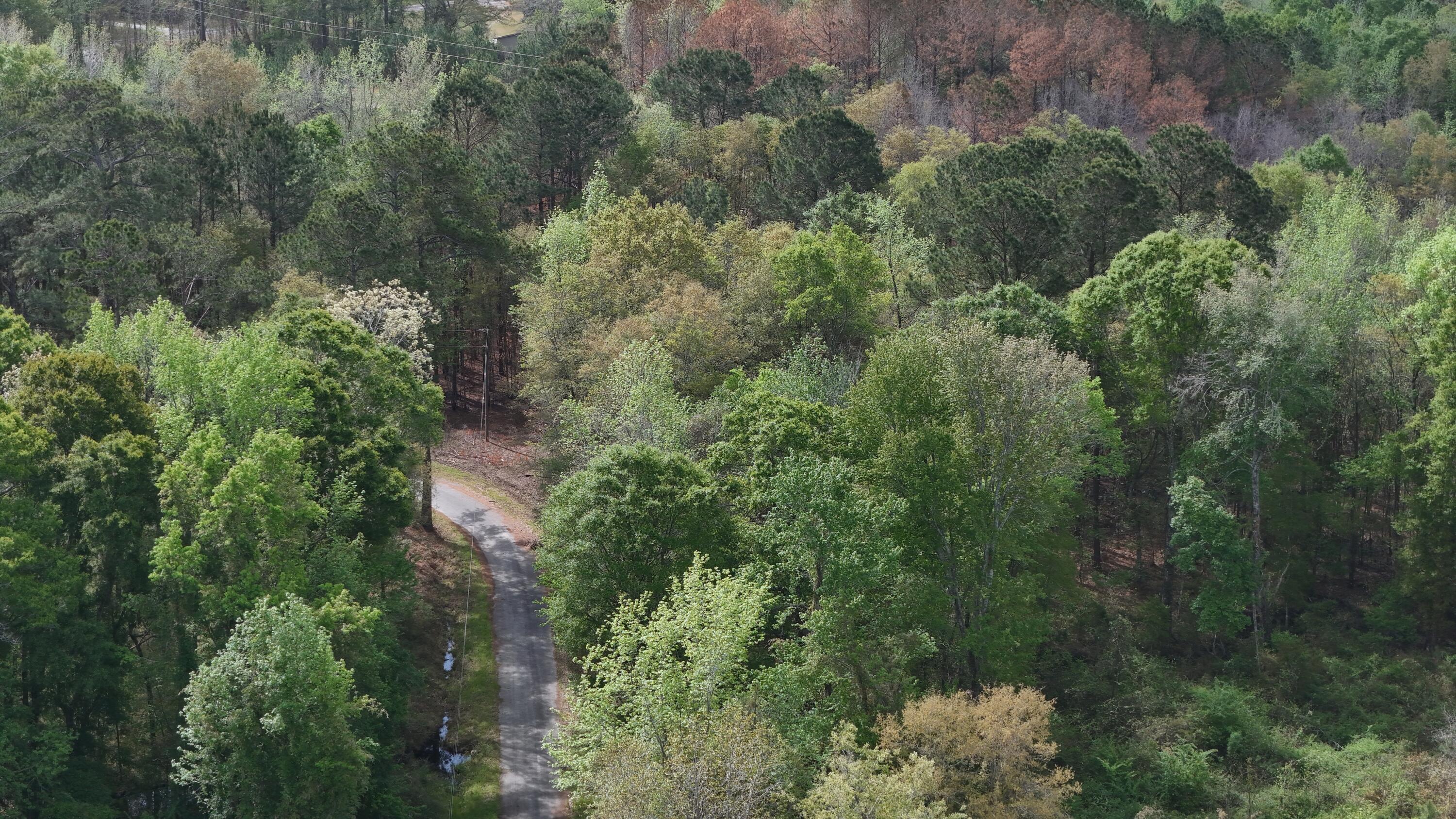 5 Smith Lane Bowman, SC 29018 - Photo 25 of 25 DJI_20250403110239_0009_D