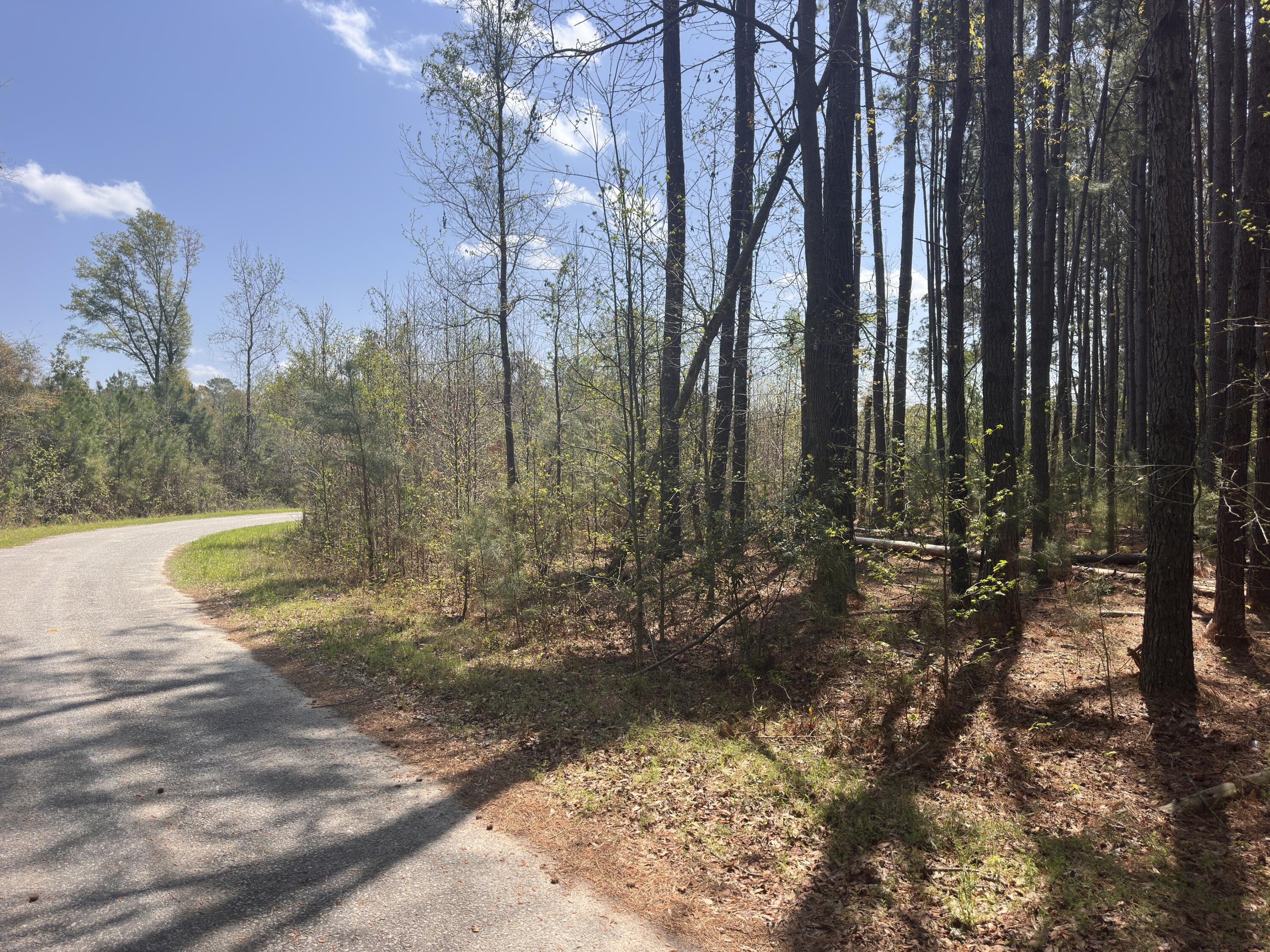5 Smith Lane Bowman, SC 29018 - Photo 9 of 25 IMG_9166