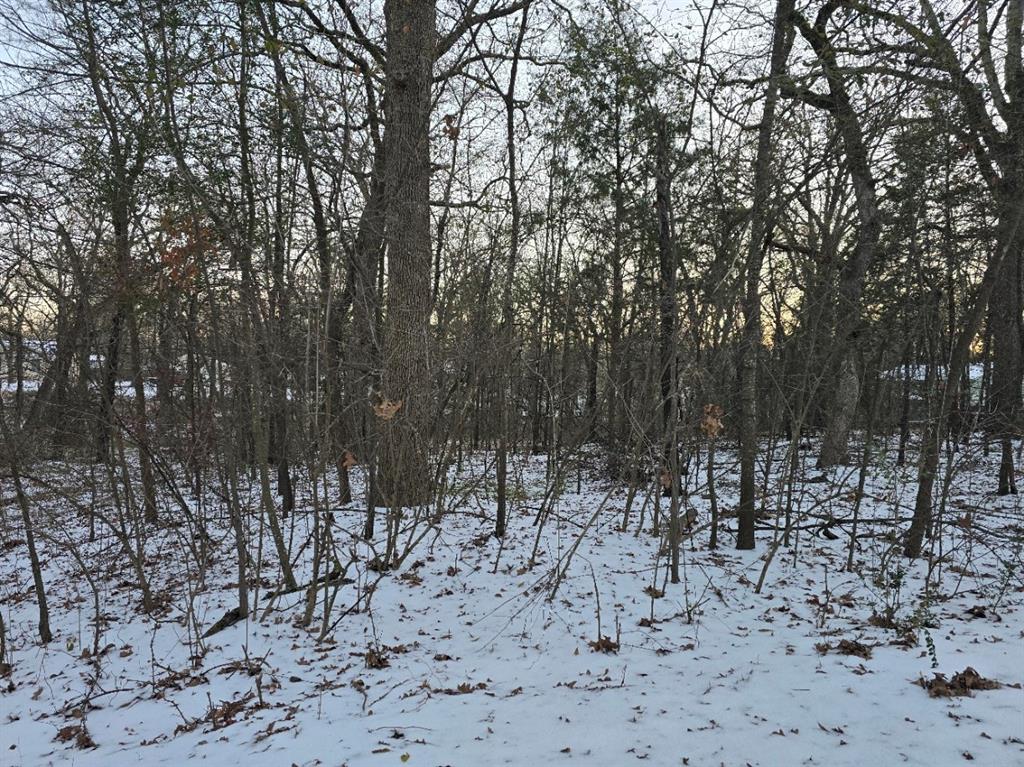 Lot 750 Doe Run Road Gun Barrel City, TX 75156 - Photo 2 of 5 a view of covered with snow