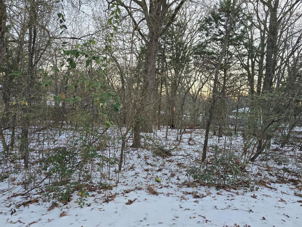 Lot 750 Doe Run Road Gun Barrel City, TX 75156 - Photo 4 of 5 a view of a forest filled with trees