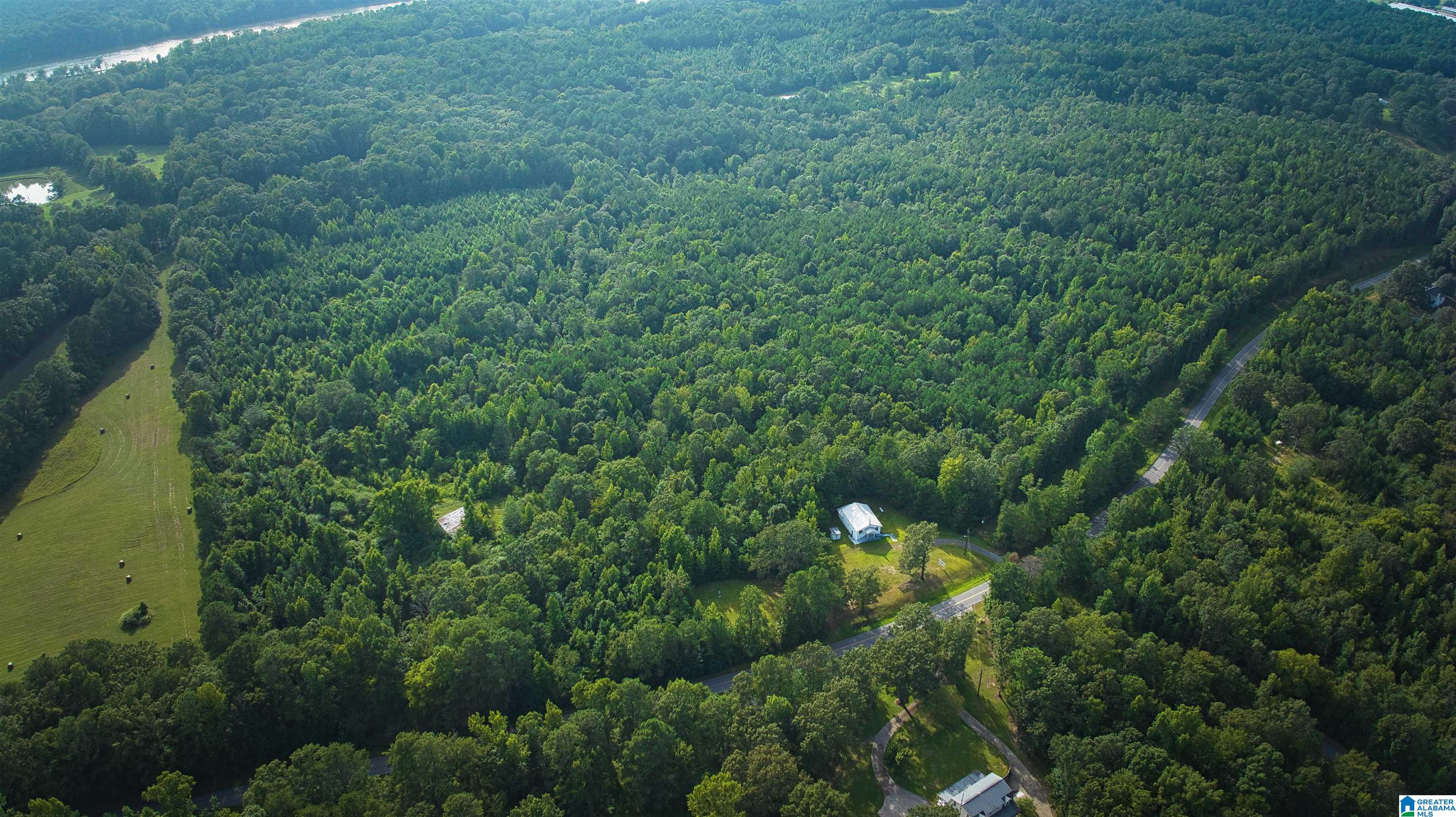 Lot 20 Wester Road, Unit LOT 20 Ragland, AL 35131 - Photo 48 of 68