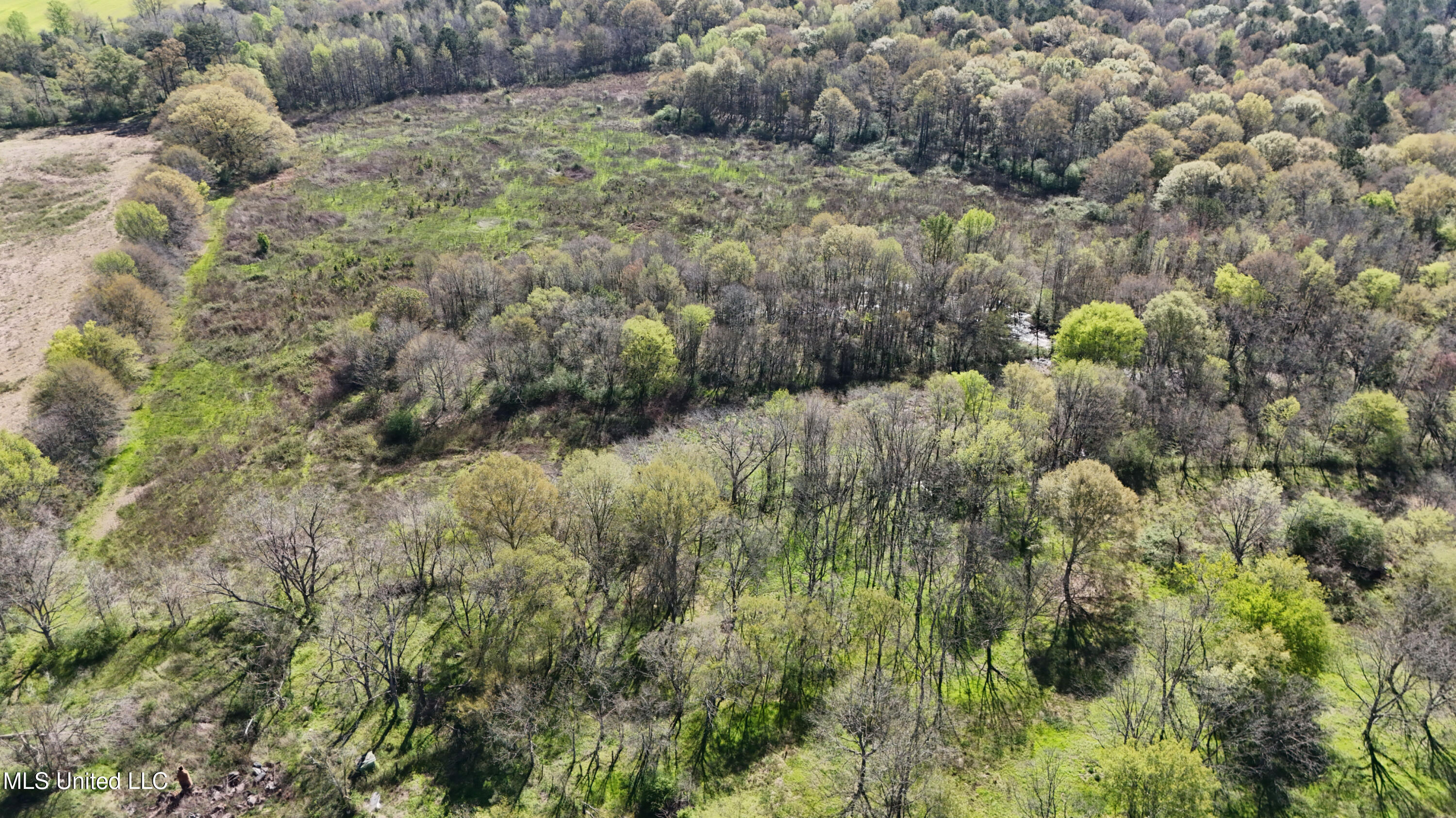 Thrash Road Union, MS 39365 - Photo 4 of 23 DJI_20240330101803_0059_D