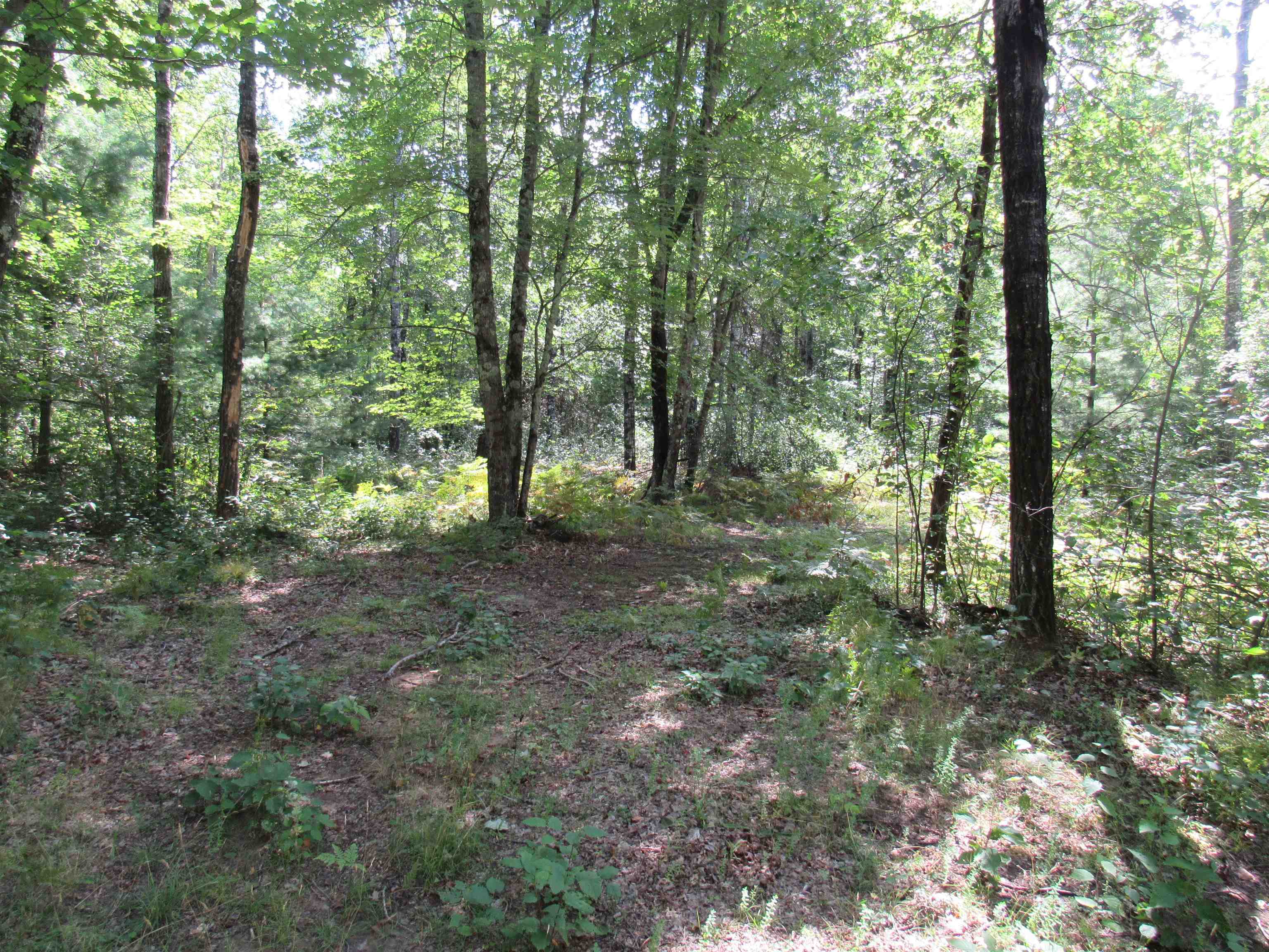 W8598 Beecher Lake Road Pembine, WI 54156 - Photo 39 of 66 Gallery Image 39