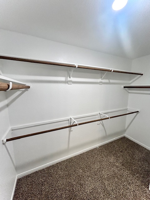 5334 Samuel Run Bryan, TX 77807 - Photo 9 of 20