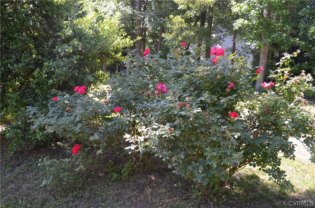 1847 Jeter Road Powhatan, VA 23139 - Photo 19 of 20 Gallery Image 19