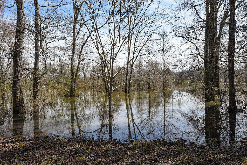 364 Pine View Road Dayton, TN 37321 - Photo 3 of 40 DSC_7726