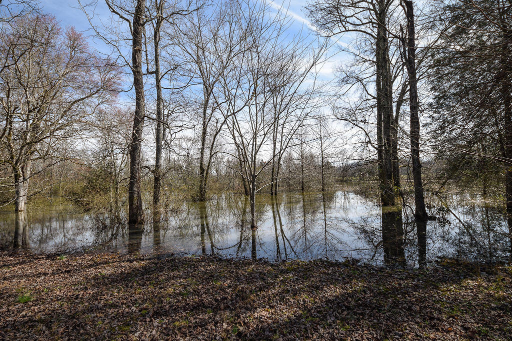 364 Pine View Road Dayton, TN 37321 - Photo 39 of 40 DSC_7725