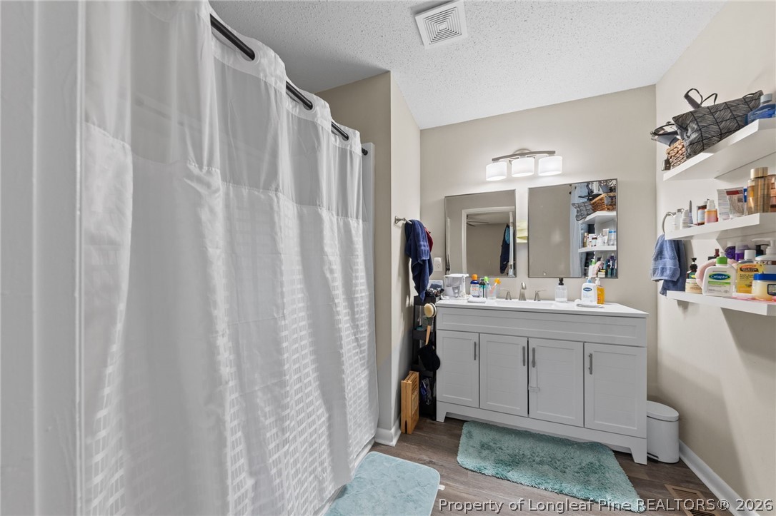 2890 Fulford McMillan Road Raeford, NC 28376 - Photo 18 of 37 a bathroom with a sink a mirror and a shower