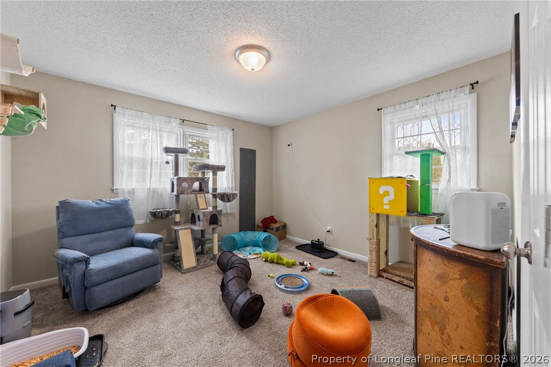 2890 Fulford McMillan Road Raeford, NC 28376 - Photo 22 of 37 a living room with furniture and a wooden floor