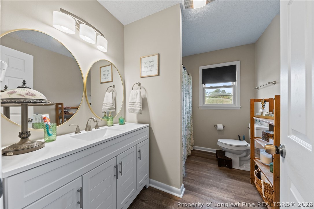2890 Fulford McMillan Road Raeford, NC 28376 - Photo 5 of 37 a spacious bathroom with a toilet sink and mirror