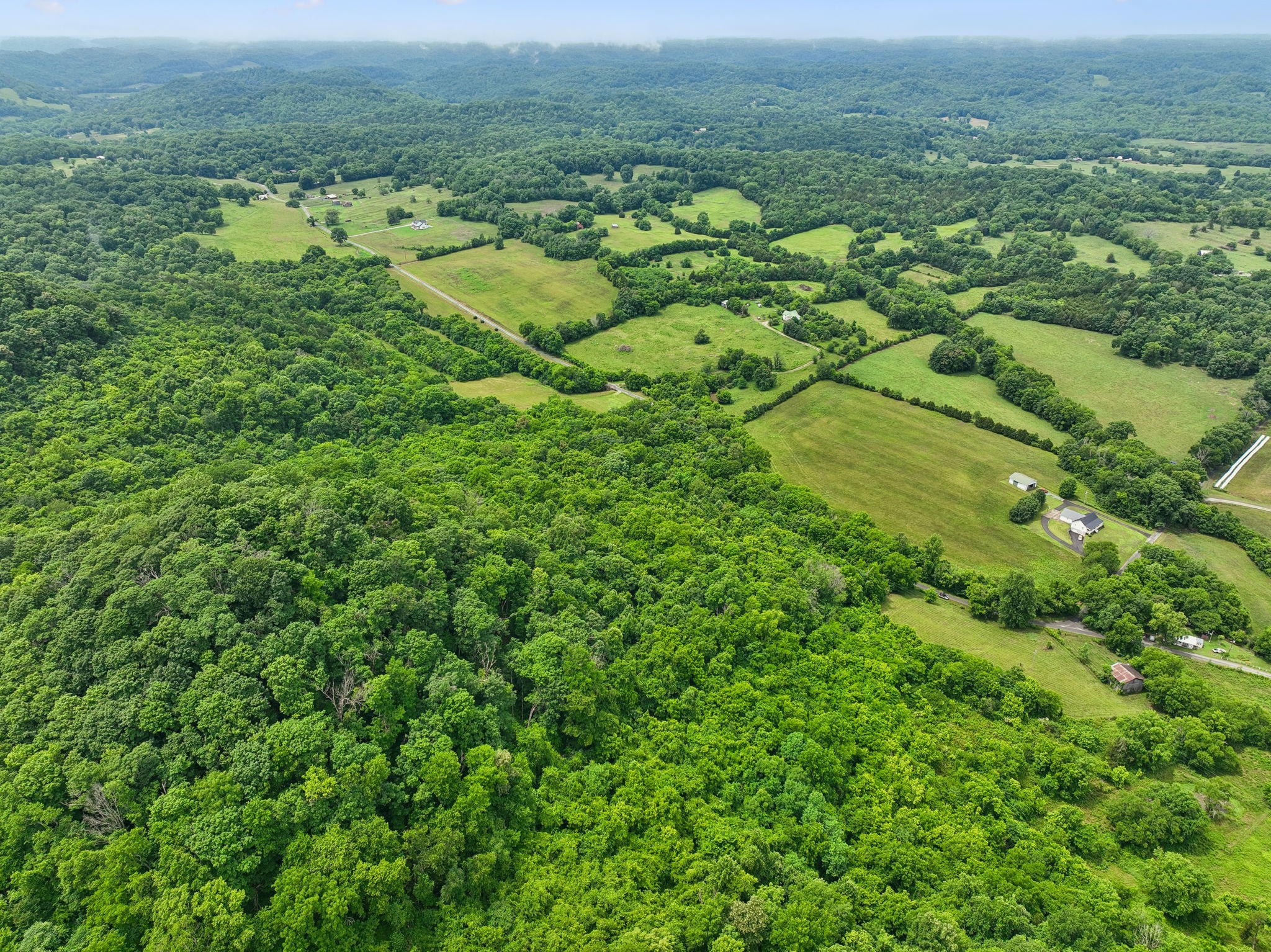 0 Little Salt Lick Creek Road Carthage, TN 37030 - Photo 14 of 17