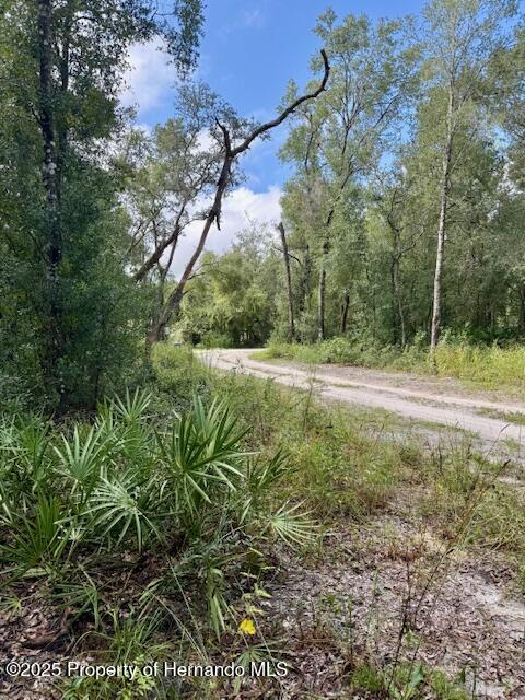 0 Gresham Road Webster, FL 33597 - Photo 3 of 18 IMG_2937