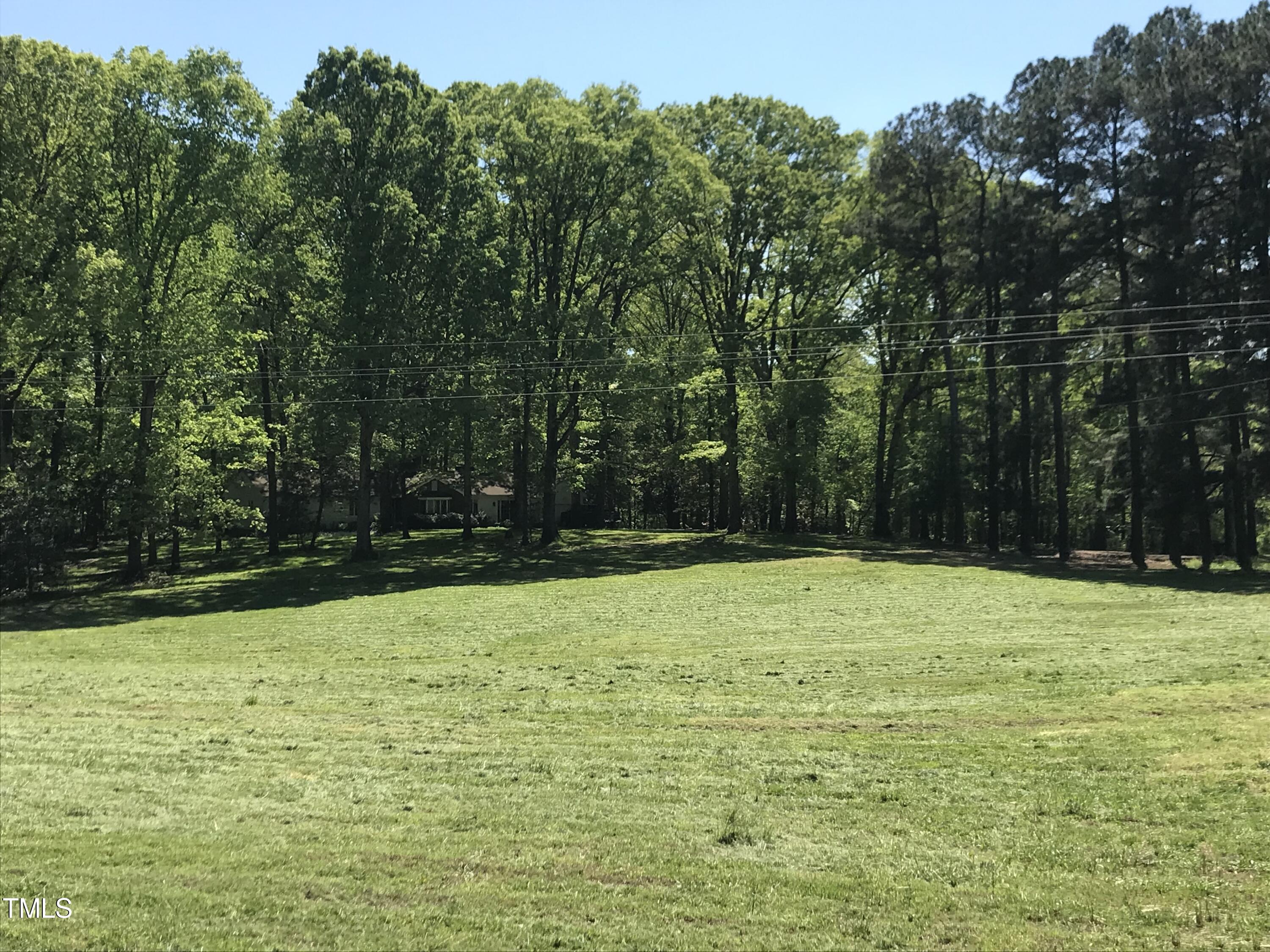 389 Dewitt Smith Road Pittsboro, NC 27312 - Photo 4 of 39 Pasture