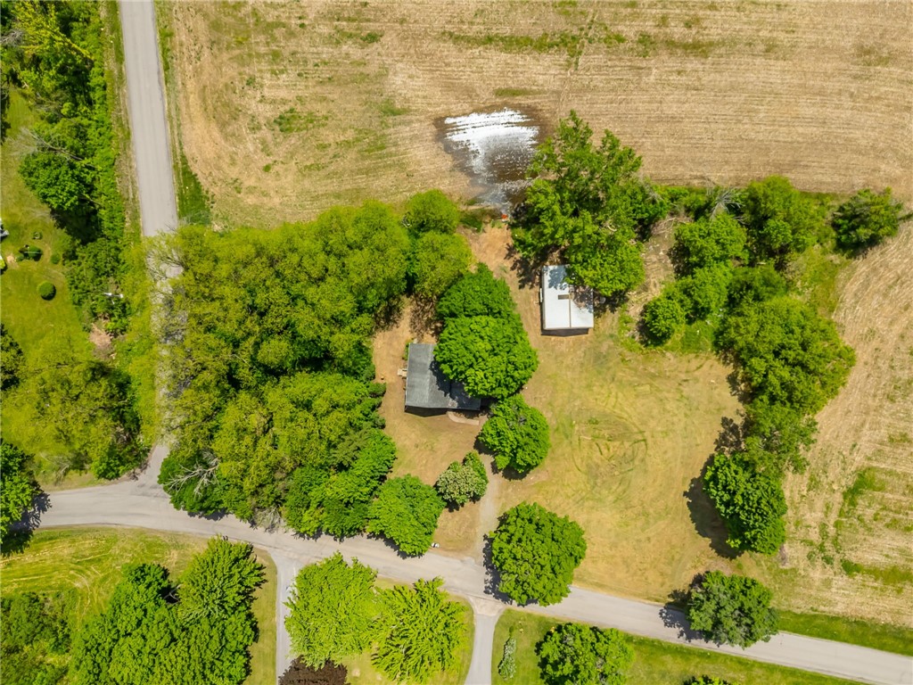 17156 Ladue Road Clarendon, NY 14470 - Photo 6 of 41