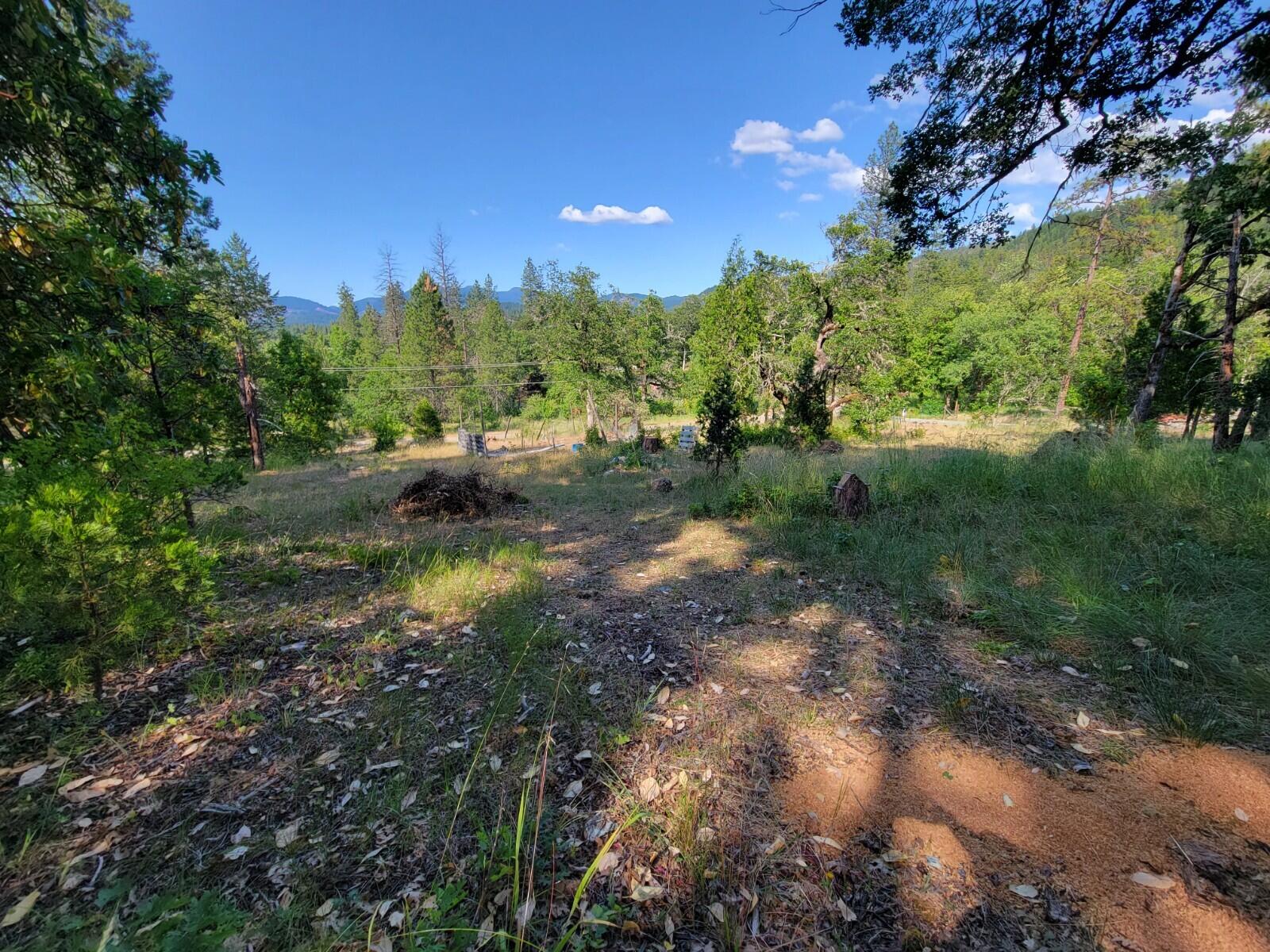 1021 Greenview Road Cave Junction, OR 97523 - Photo 18 of 27 22- view from campsite