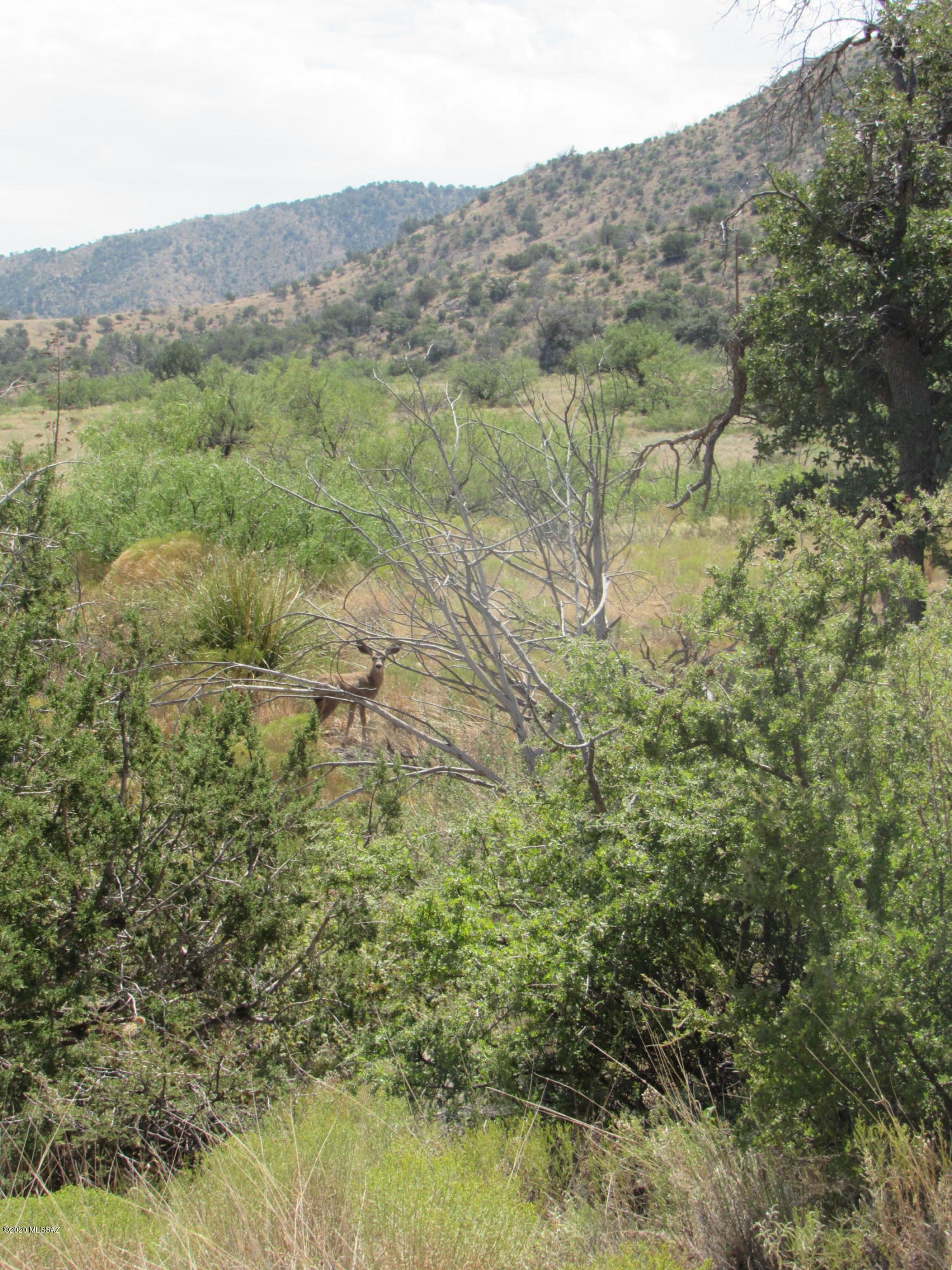 26-acres West Hilltop Road San Simon, AZ 85632 - Photo 35 of 39