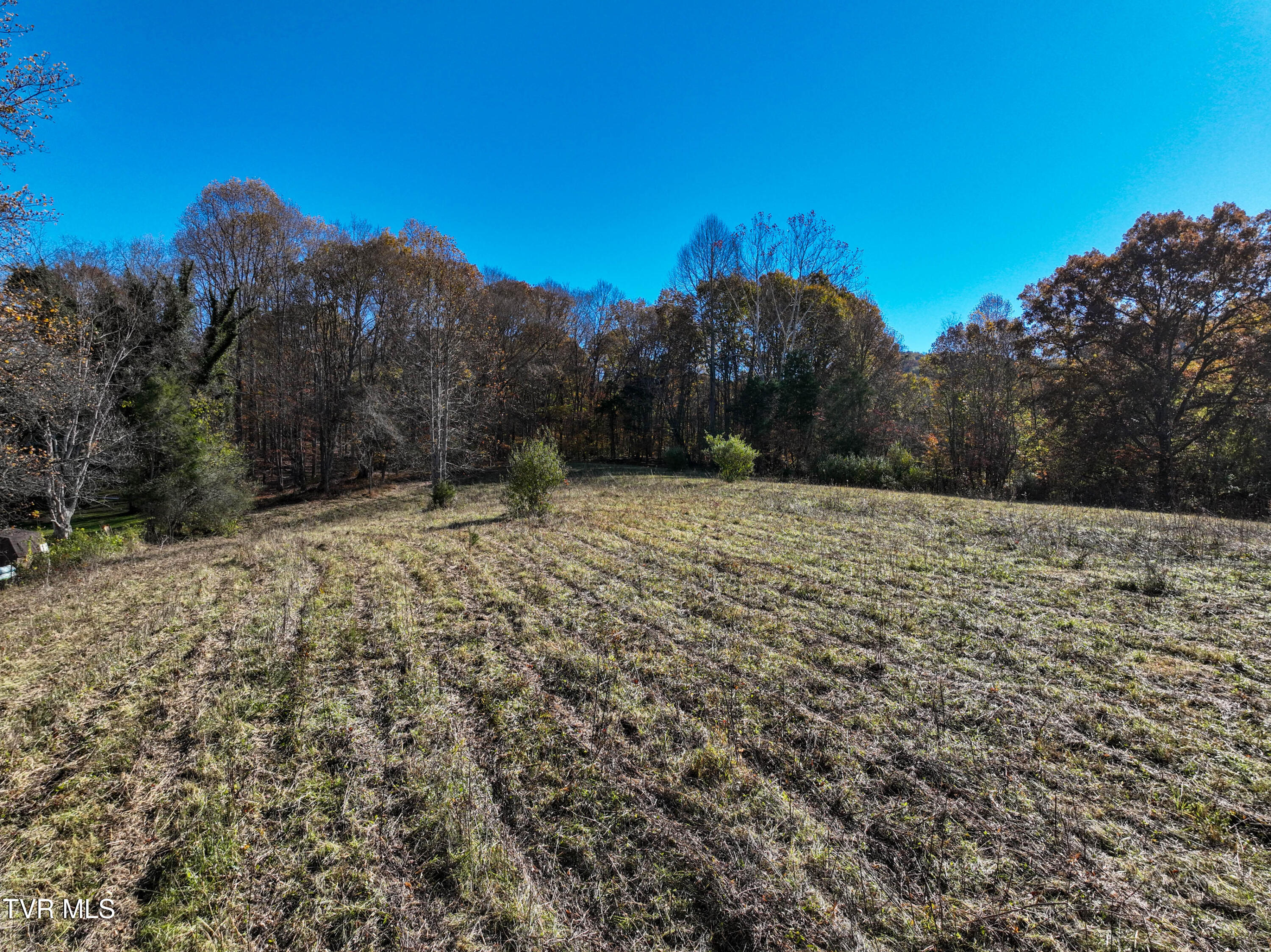 297 Bluff Road Blountville, TN 37617 - Photo 1 of 26 1