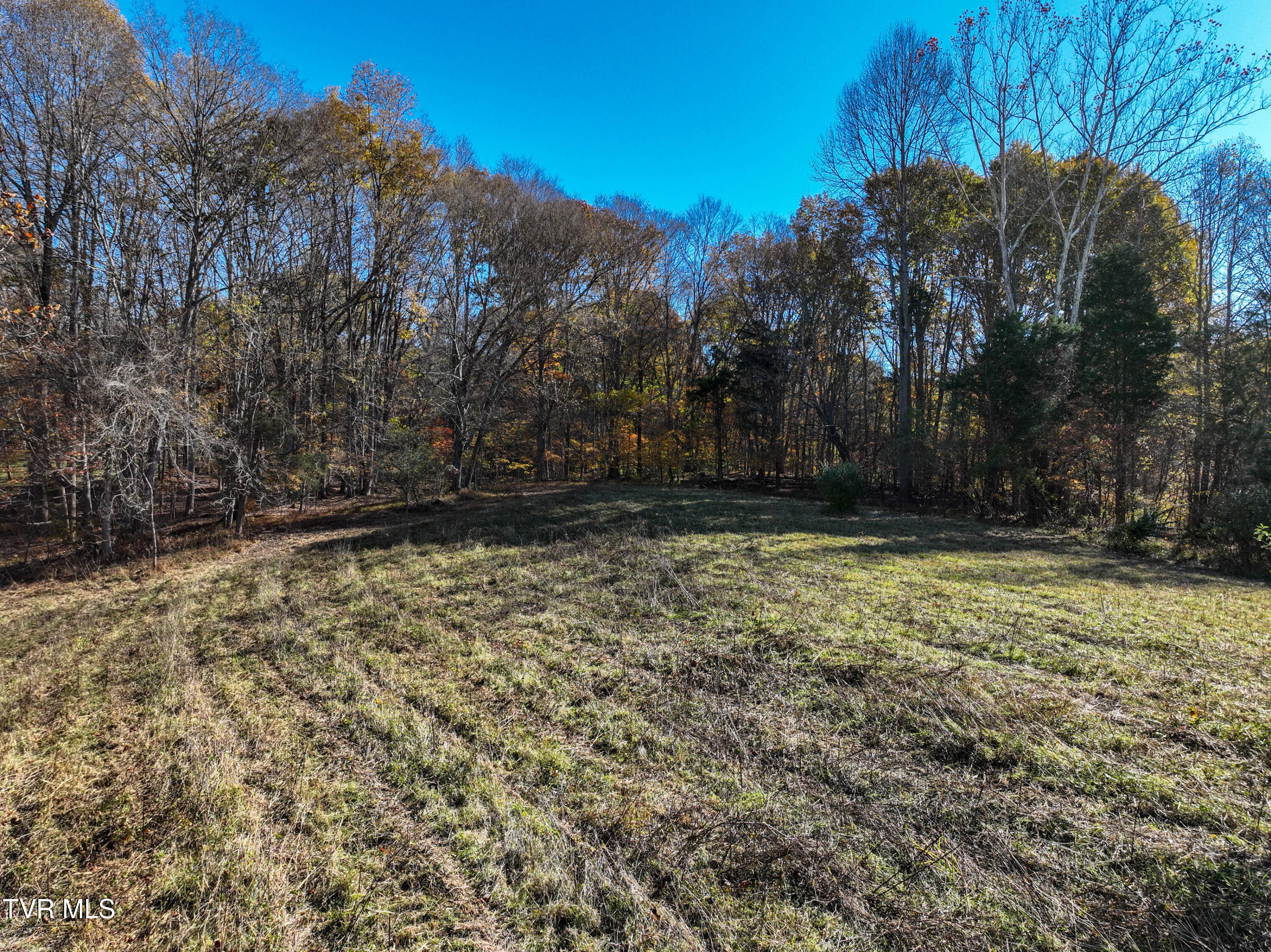 297 Bluff Road Blountville, TN 37617 - Photo 2 of 26 2