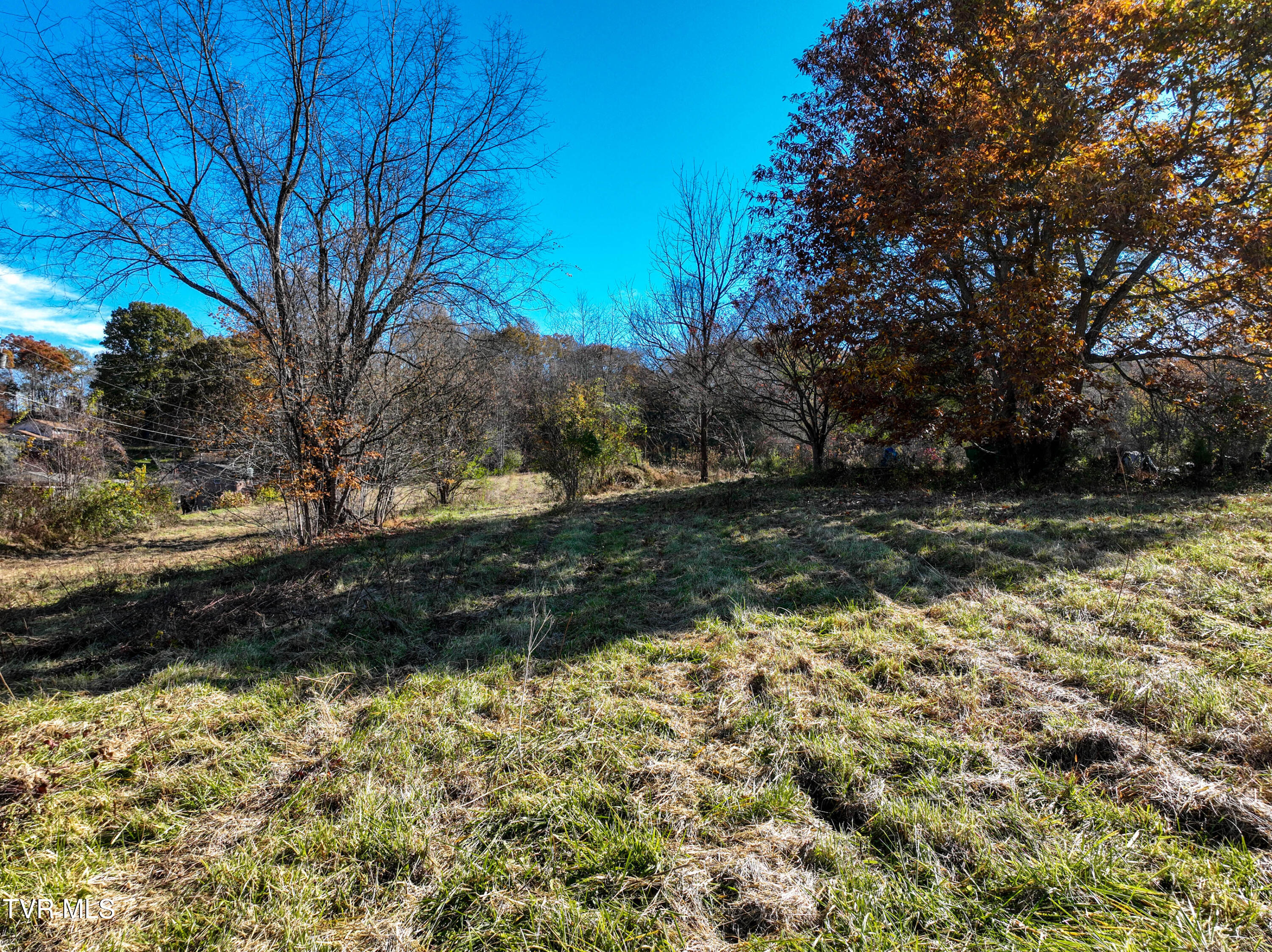 297 Bluff Road Blountville, TN 37617 - Photo 3 of 26 3