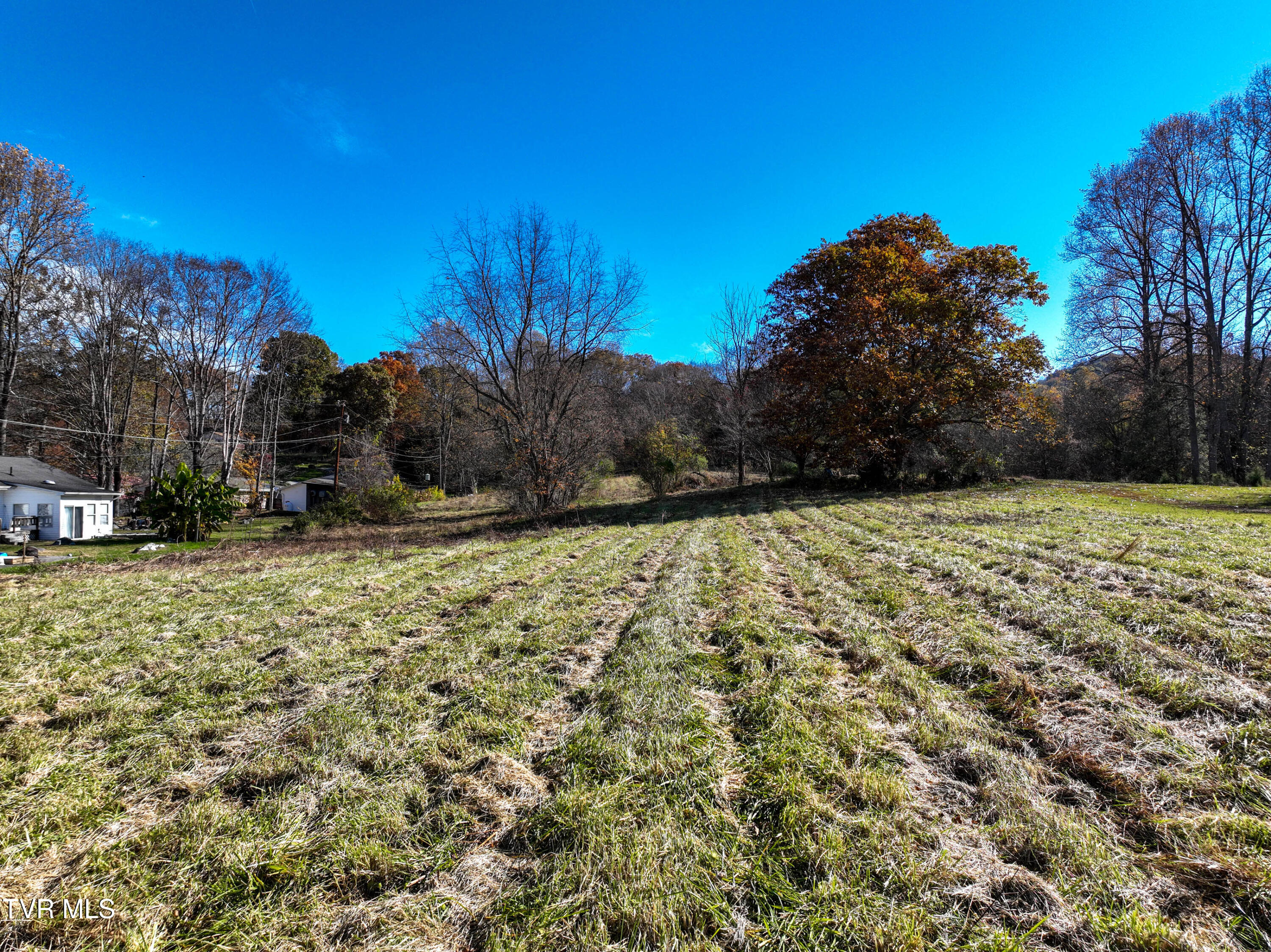 297 Bluff Road Blountville, TN 37617 - Photo 4 of 26 4