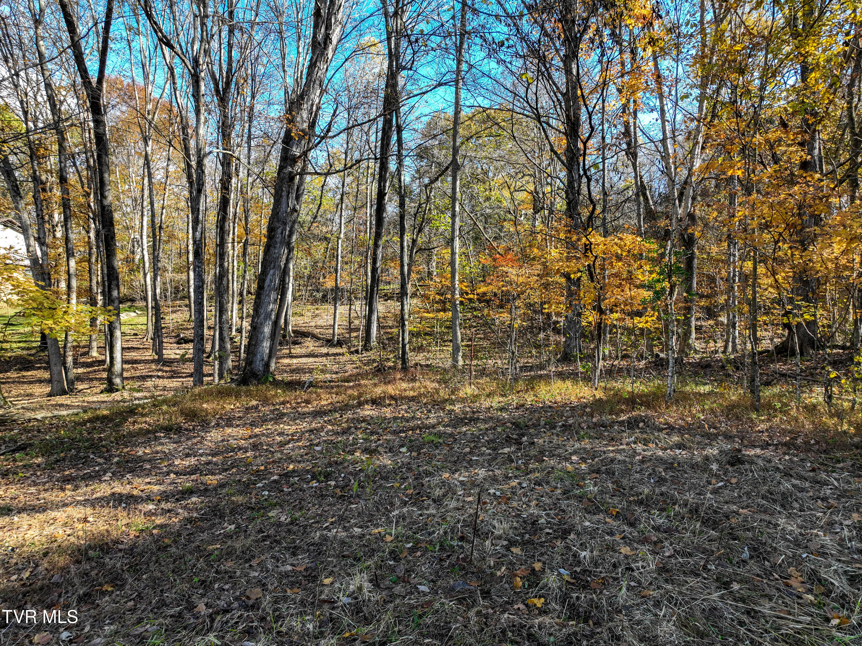 297 Bluff Road Blountville, TN 37617 - Photo 5 of 26 5
