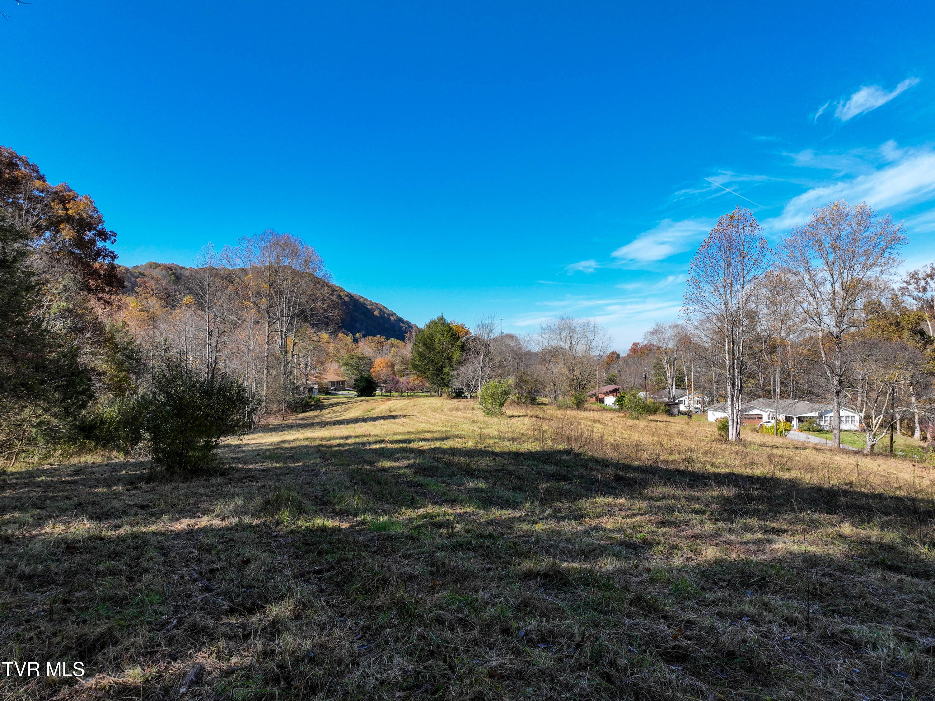 297 Bluff Road Blountville, TN 37617 - Photo 6 of 26 6