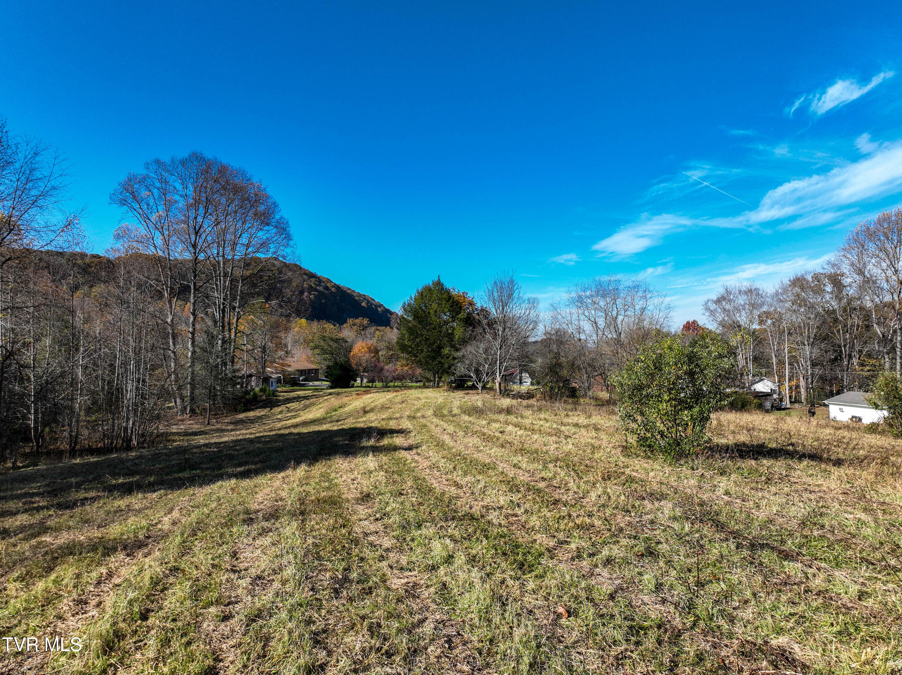 297 Bluff Road Blountville, TN 37617 - Photo 7 of 26 7