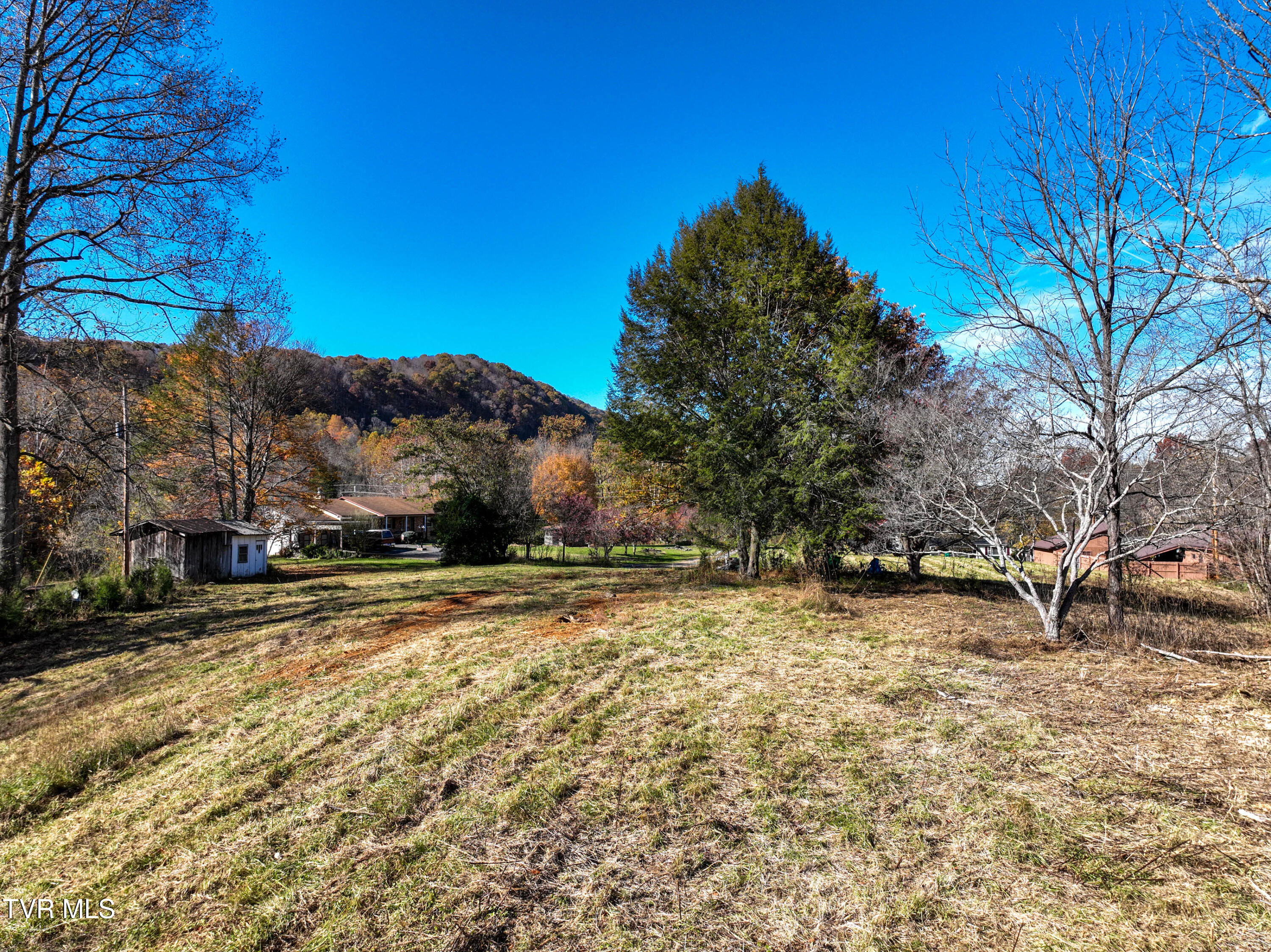 297 Bluff Road Blountville, TN 37617 - Photo 8 of 26 8