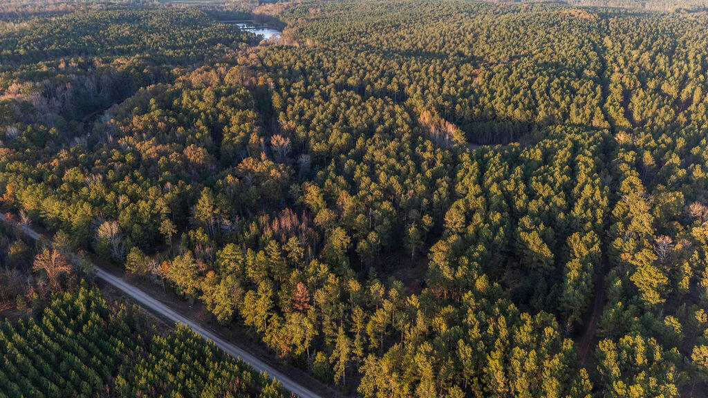 Tbd Barr Chapel Road Edgefield, SC 29824 - Photo 1 of 15