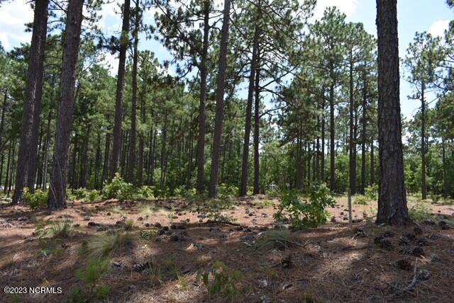 5 Ridgeland Street Pinehurst, NC 28374 - Photo 4 of 8 Lot 1859 1