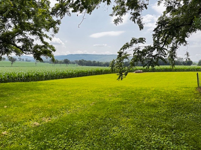 2160 Francisco Road Huntland, TN 37345 - Photo 20 of 21 a view of an ocean and a yard
