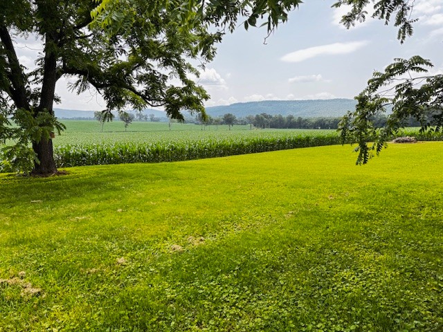 2160 Francisco Road Huntland, TN 37345 - Photo 21 of 21 a view of a field with trees in the background