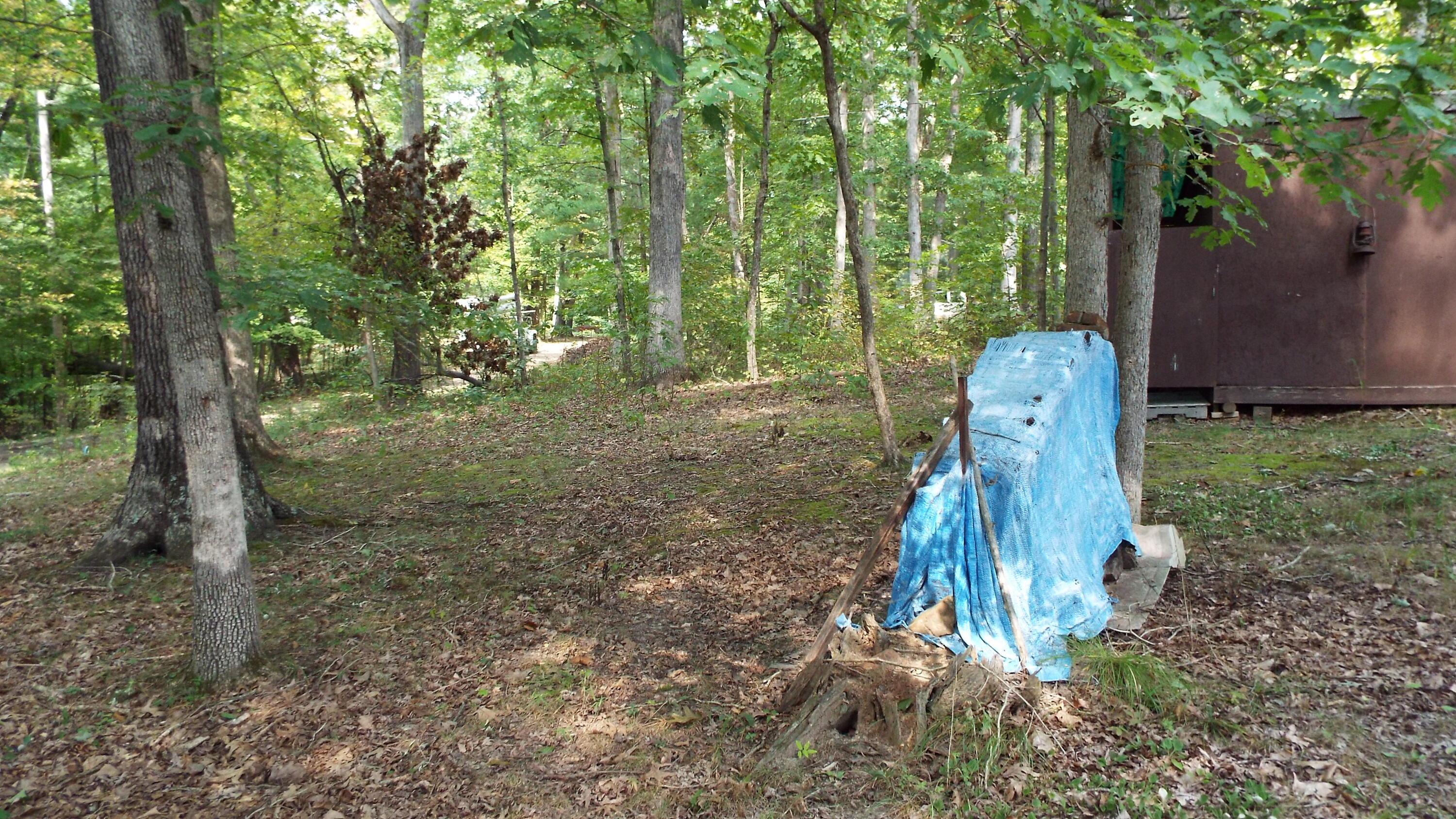0 Red Maple Road Glouster, OH 45732 - Photo 9 of 16 Complete with outhouse