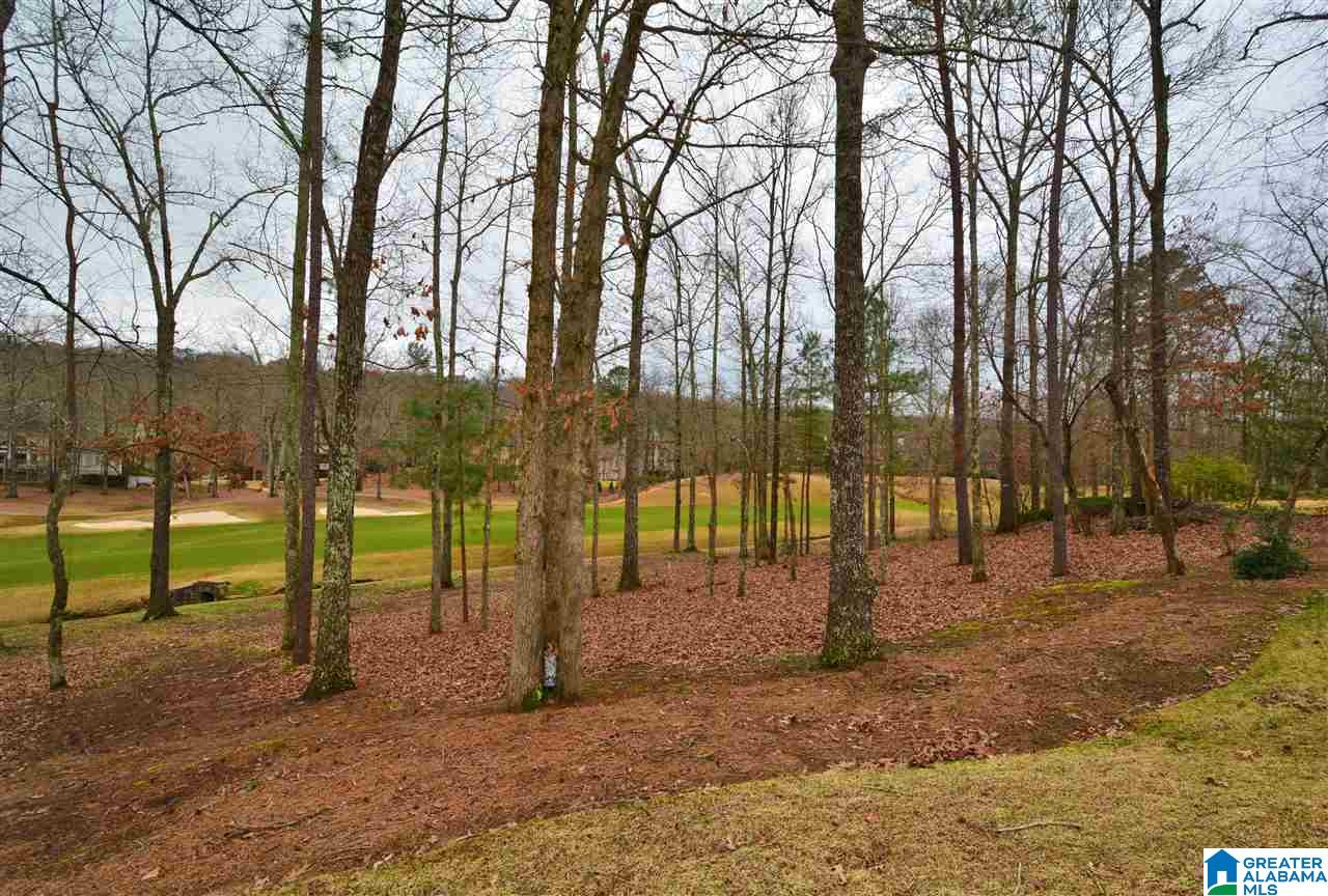 1070 Greymoor Road Birmingham, AL 35242 - Photo 42 of 47