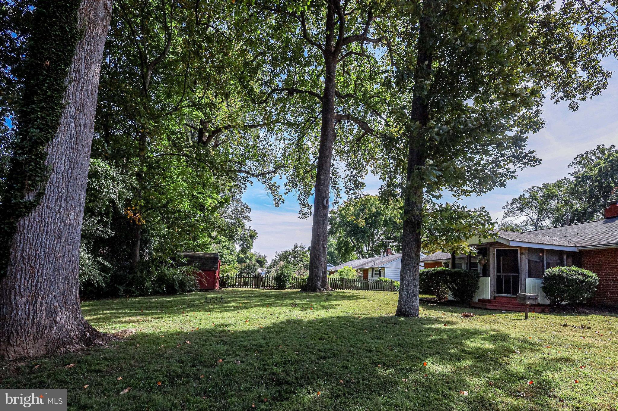 7612 Dunston Street Springfield, VA 22151 - Photo 2 of 51 Beautiful Back Yard
