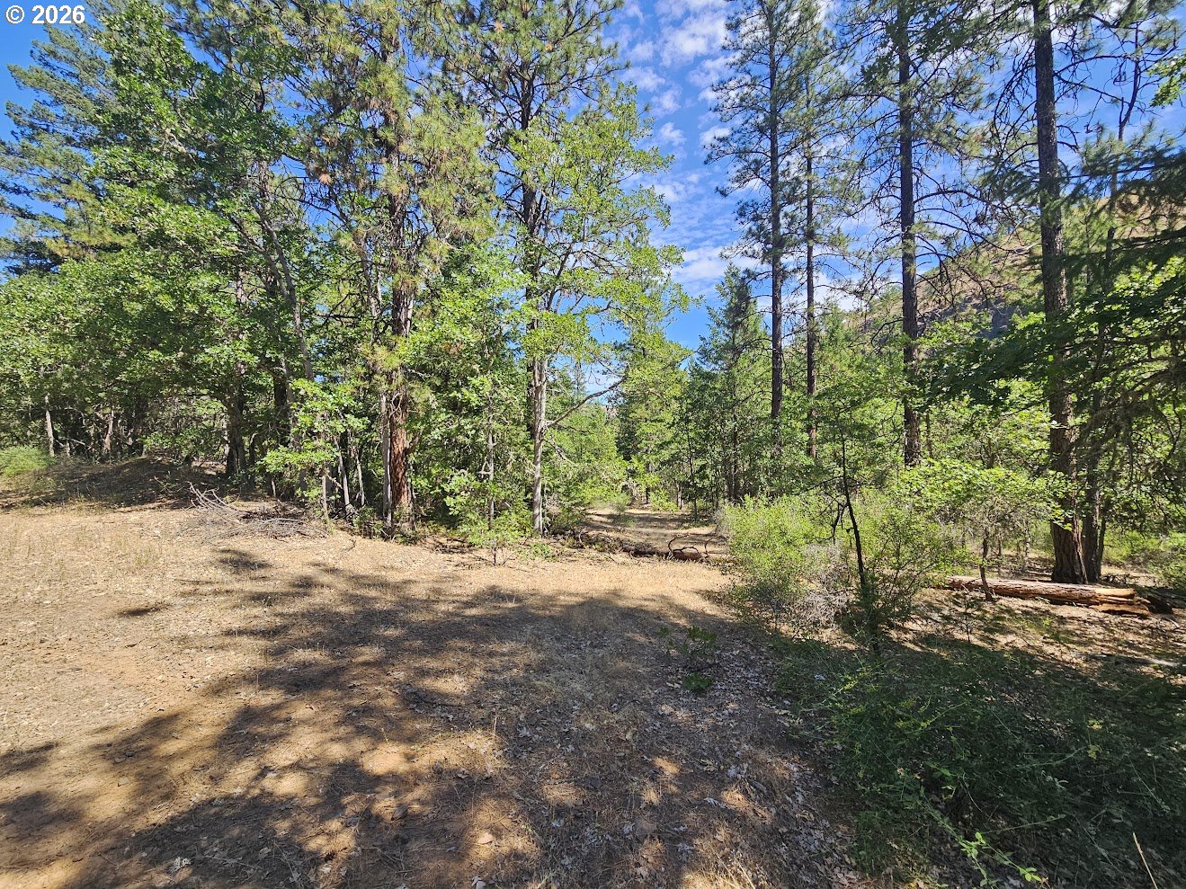Lovers Lane Lyle, WA 98635 - Photo 5 of 25