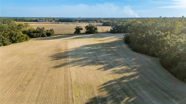 a house view with a outdoor space