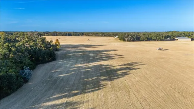 a view of yard with large trees