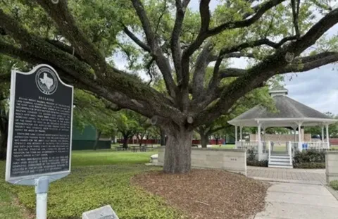 $670,000 | 5330 Jackwood Street, Houston, TX 77096