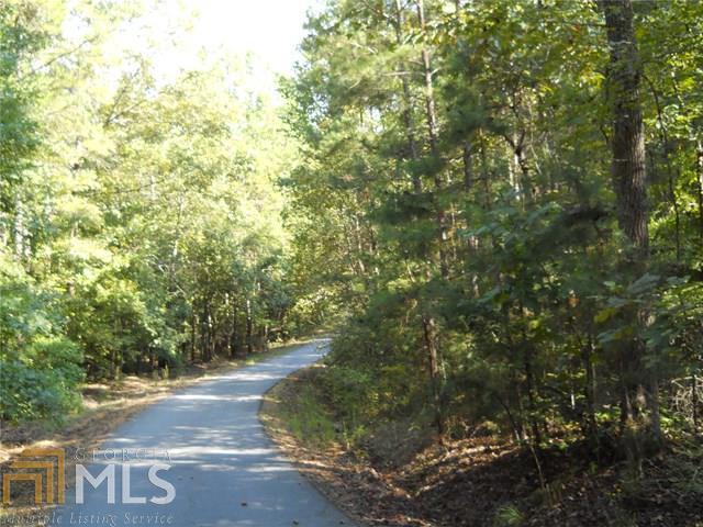 0 Chandler Trace Road Hartwell, GA 30643 - Photo 1 of 1 Gallery Image 1