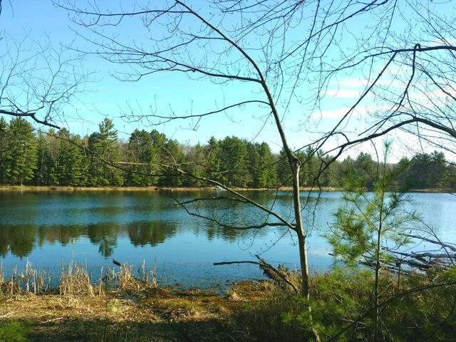 Near Powell Road Manitowish Waters, WI 54545 - Photo 2 of 5 Gallery Image 2